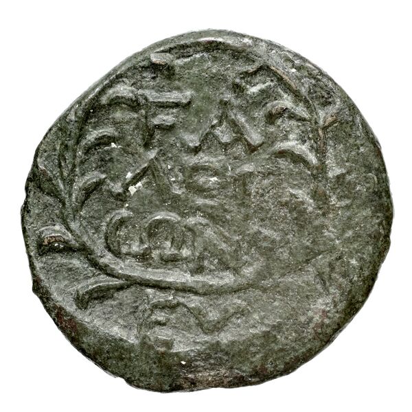 Elis BMC Elis 149-155, реверс, bnf-iris