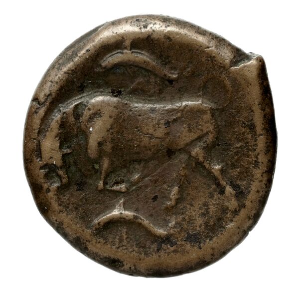 Rhodes BMC Rhodes 357-361, реверс, bnf-iris