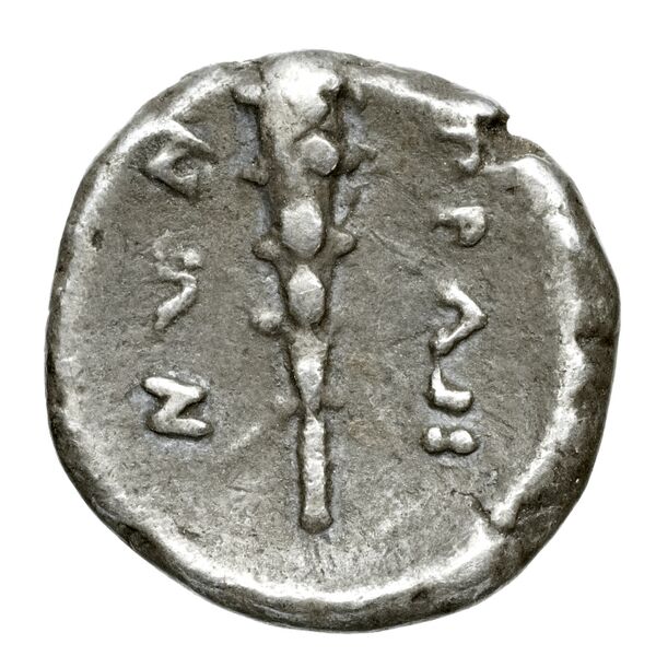 Brettii Bruttium Historia Numorum Italy 1975-1977, реверс, bnf-iris