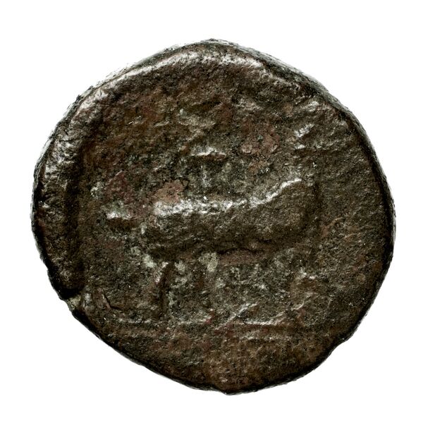 Same BMC Same 9-14, реверс, bnf-iris