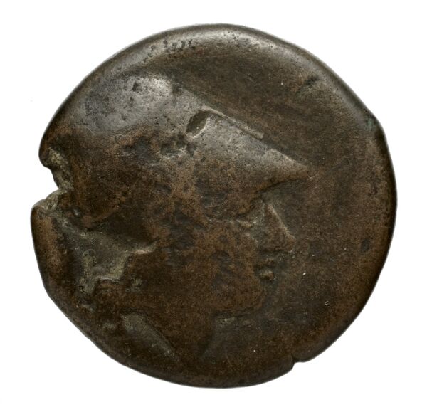 Agathocles of Syracuse Syracuse Puglisi 2009 318, аверс, bnf-iris