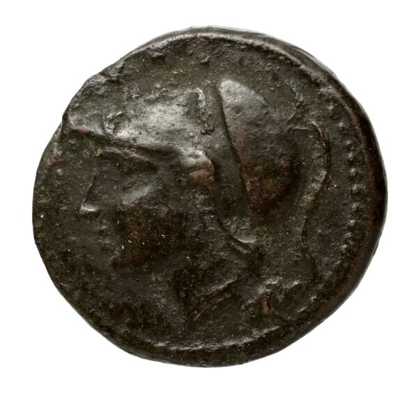 Agathocles of Syracuse Syracuse Puglisi 2009 321, аверс, bnf-iris