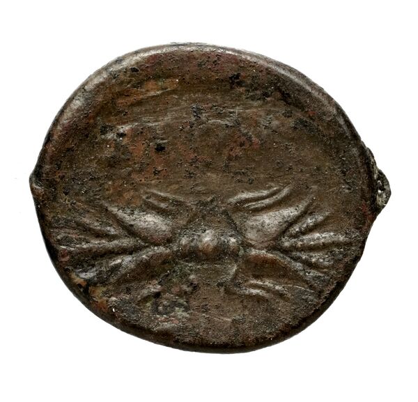 Brettii Bruttium Historia Numorum Italy 1978-1981, реверс, bnf-iris