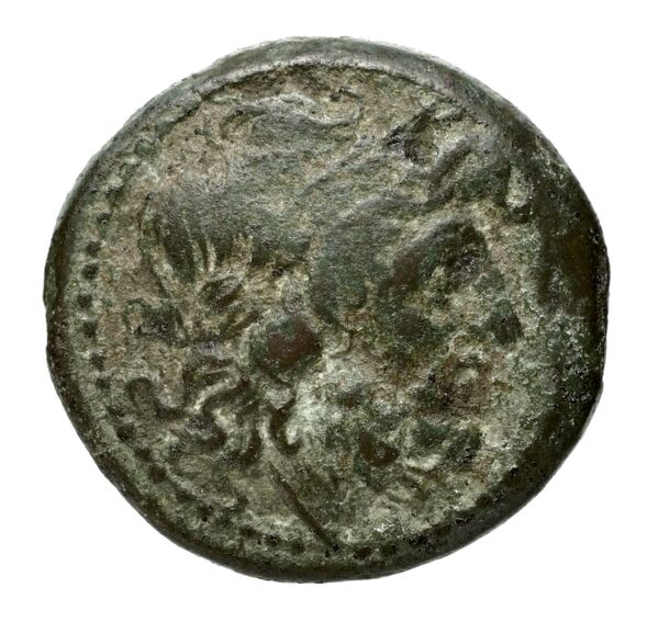 Brettii Bruttium Historia Numorum Italy 1978-1981, аверс, bnf-iris