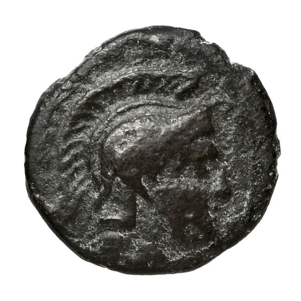 Adranum Puglisi 2009 4, аверс, bnf-iris