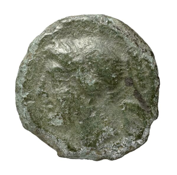 аверс Brettii Bruttium Historia Numorum Italy 2011