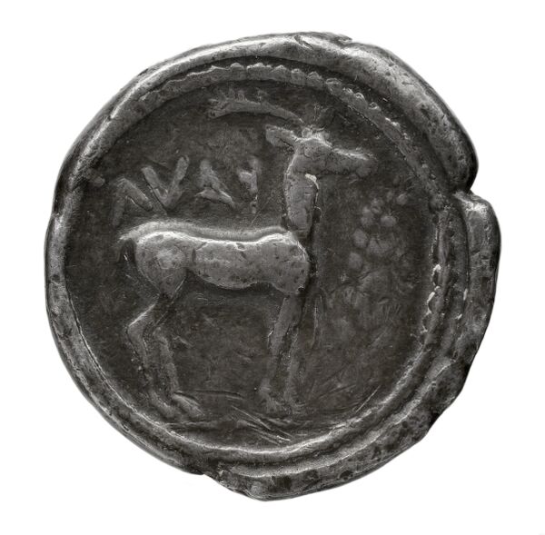 Caulonia Historia Numorum Italy 2046, реверс, bnf-iris