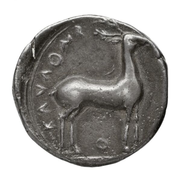 Caulonia Historia Numorum Italy 2054-2055, реверс, bnf-iris