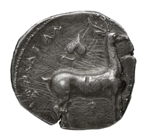 Caulonia Historia Numorum Italy 2054-2055, реверс, bnf-iris