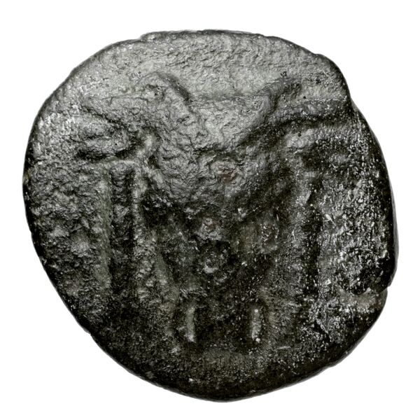 Phocian League Phocis Williams 1972 Period V, 'Branch' group, 302-28; 332-4, аверс, BnF (IRIS)