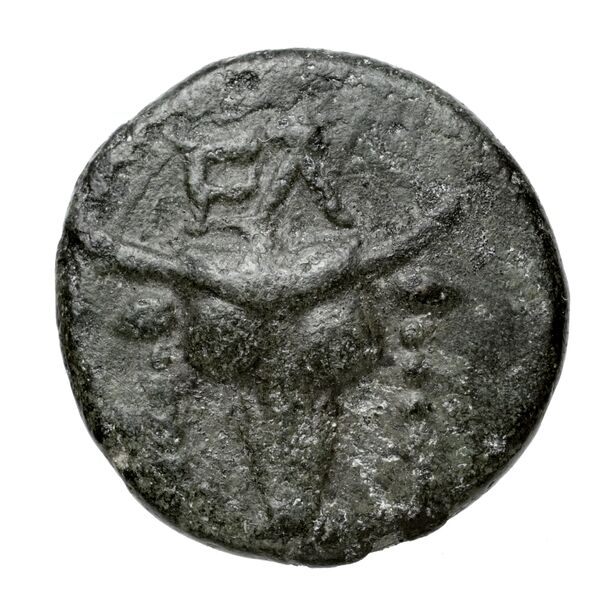 Phocian League Phocis Williams 1972 Period V, 'Branch' group, 302-28; 332-4, аверс, BnF (IRIS)