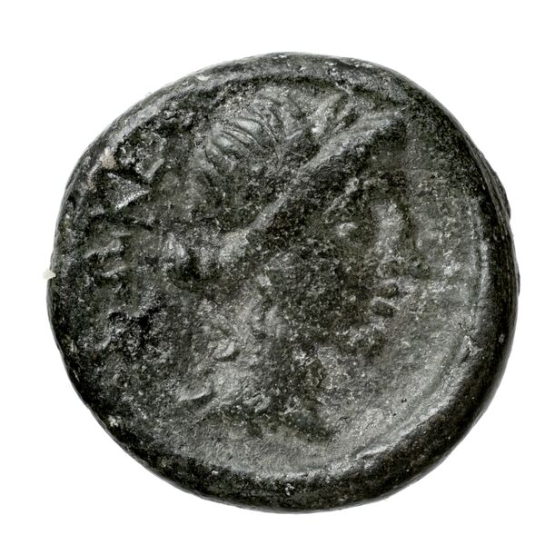Phocian League Phocis Williams 1972 Period V, 'Branch' group, 302-28; 332-4, реверс, BnF (IRIS)
