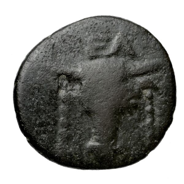 Phocian League Phocis Williams 1972 Period V, 'Branch' group, 302-28; 332-4, аверс, BnF (IRIS)