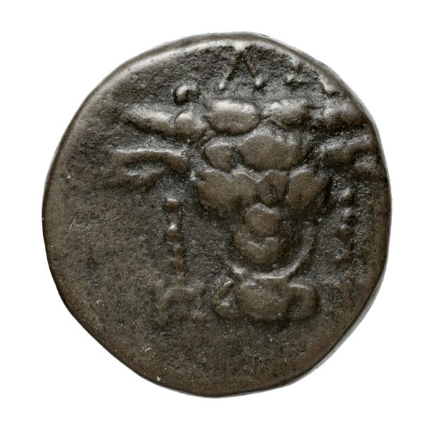 Phocian League Phocis Williams 1972 Period V, 'Branch' group, 302-28; 332-4, аверс, BnF (IRIS)