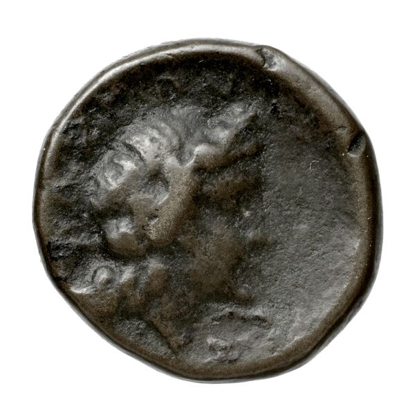 Phocian League Phocis Williams 1972 Period V, 'Branch' group, 302-28; 332-4, реверс, BnF (IRIS)