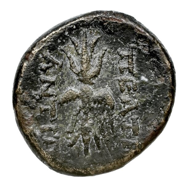 Miletus Marcellesi 2004 54, реверс, bnf-iris