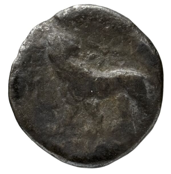 реверс Miletus Marcellesi 2004 36