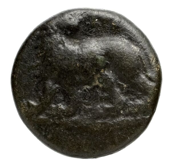 Miletus Marcellesi 2004 1, аверс, bnf-iris