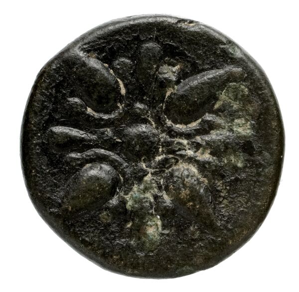 Miletus Marcellesi 2004 1, реверс, bnf-iris
