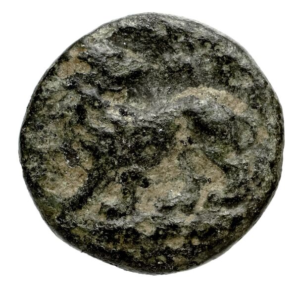 Miletus Marcellesi 2004 1, аверс, bnf-iris