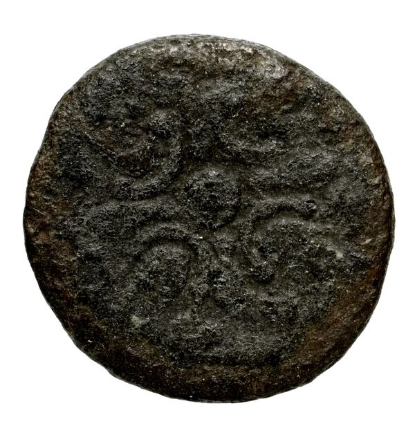 Miletus Marcellesi 2004 1, реверс, bnf-iris