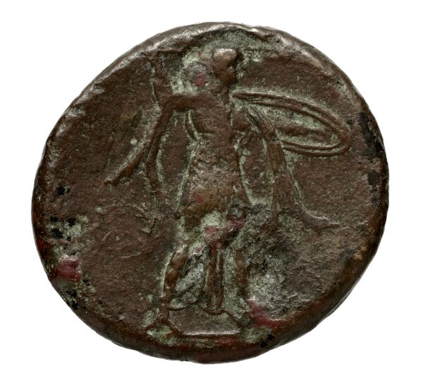 реверс Miletus Marcellesi 2004 35