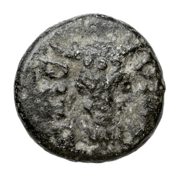 Phocian League Phocis BMC Phocis 94-102, аверс, BnF (IRIS)