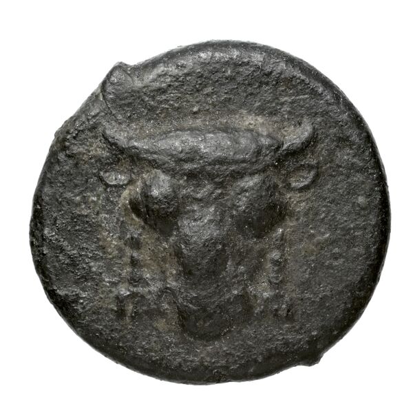 obverse Phocian League Phocis BMC Phocis 103