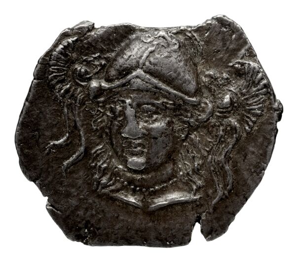 Hieron II Syracuse Puglisi 2009 340, аверс, bnf-iris