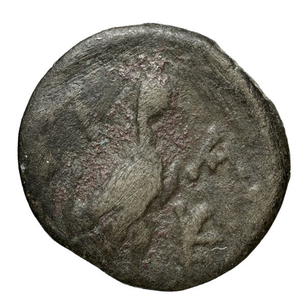 Ptolemy of Chalcis Chalcis sub Libano Herman 2006 1, реверс, BnF (IRIS)