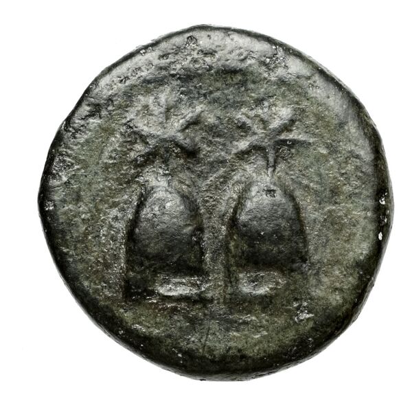 аверс Cleomenes III of Sparta Lacedaemon Grunauer 1978 gruppe_VII