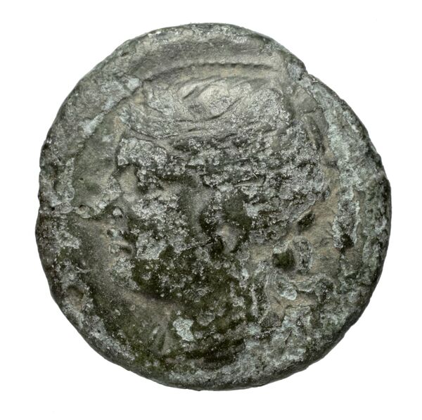 Locri Epizephyrii Historia Numorum Italy 2379-2380, аверс, BnF (IRIS)