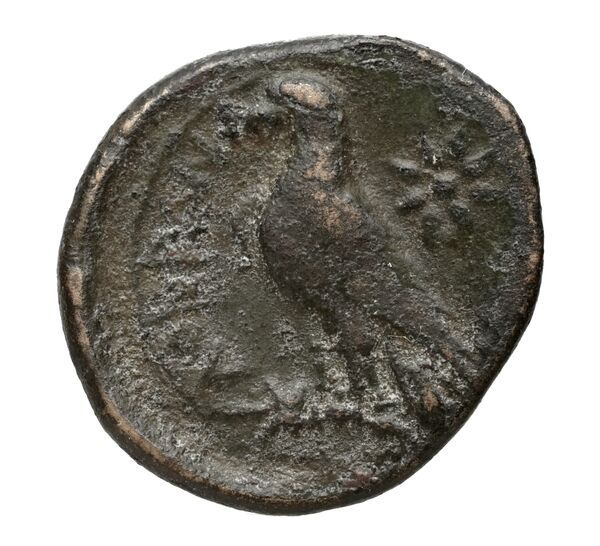 Locri Epizephyrii Historia Numorum Italy 2408-2414, реверс, BnF (IRIS)