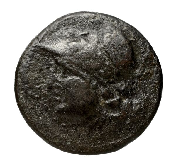 Locri Epizephyrii Historia Numorum Italy 2402-2406, аверс, BnF (IRIS)
