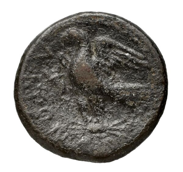 Locri Epizephyrii Historia Numorum Italy 2402-2406, реверс, BnF (IRIS)