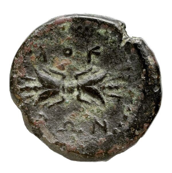 Locri Epizephyrii Historia Numorum Italy 2362-2370, реверс, BnF (IRIS)