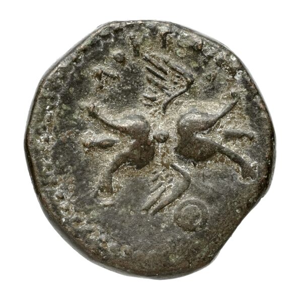 Locri Epizephyrii Historia Numorum Italy 2362-2370, реверс, BnF (IRIS)