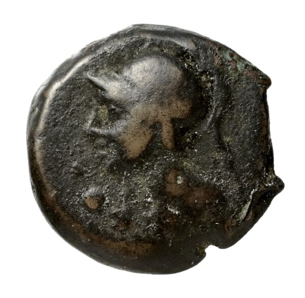 Hieron II Syracuse Puglisi 2009 337, аверс, bnf-iris