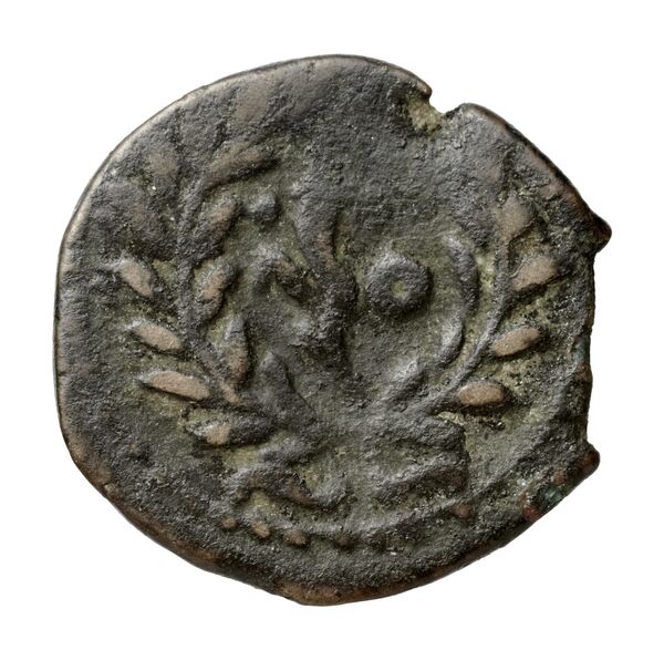 Hieron II Syracuse Puglisi 2009 337, реверс, bnf-iris