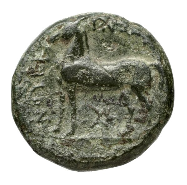 Nuceria Historia Numorum Italy 2438-46, реверс, bnf-iris