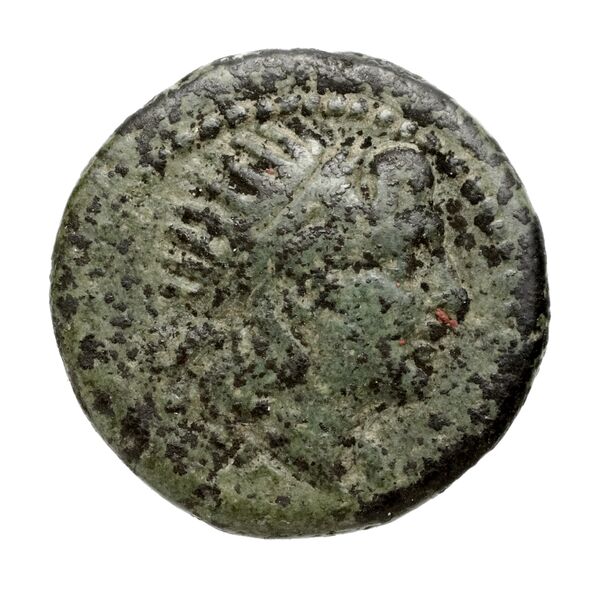 Petelia Historia Numorum Italy 2465, аверс, BnF (IRIS)