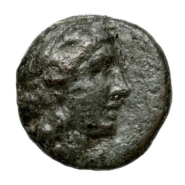Achaean League Antigoneia Benner 2008 Antigonieia 1-13, аверс, bnf-iris