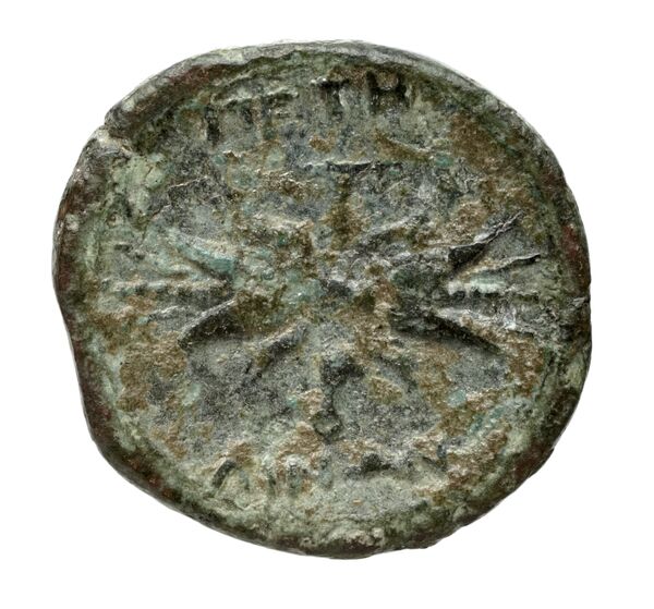 Phocaea Babelon 1907 512-4, реверс, bnf-iris