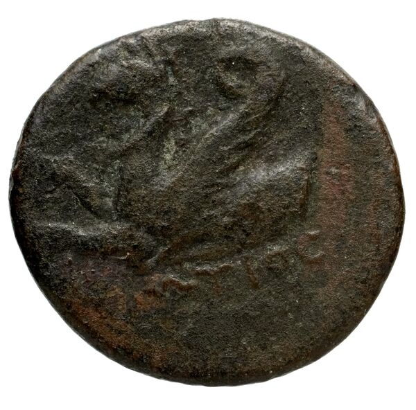 Phocaea BMC Phocaea 101-2, реверс, bnf-iris
