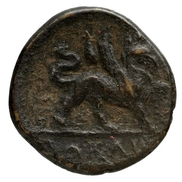 Phocaea BMC Phocaea 109-13, реверс, bnf-iris