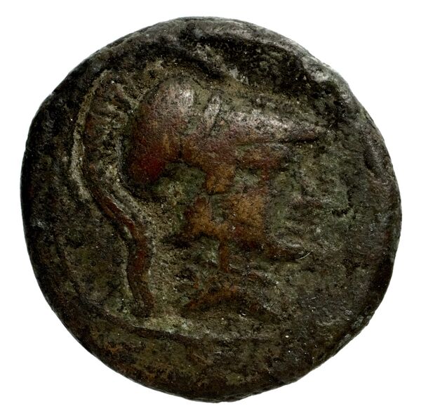 Phocaea BMC Phocaea 109-13, аверс, bnf-iris