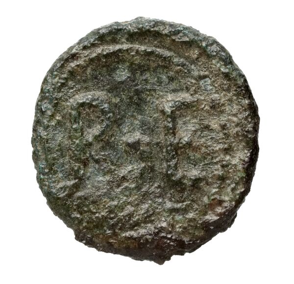 Phocaea BMC Phocaea 109-13, реверс, bnf-iris