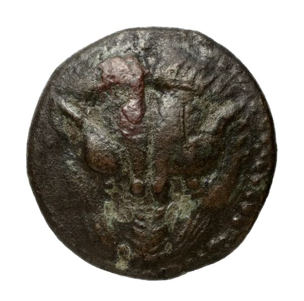 Rhegium Historia Numorum Italy 2537-8, аверс, bnf-iris