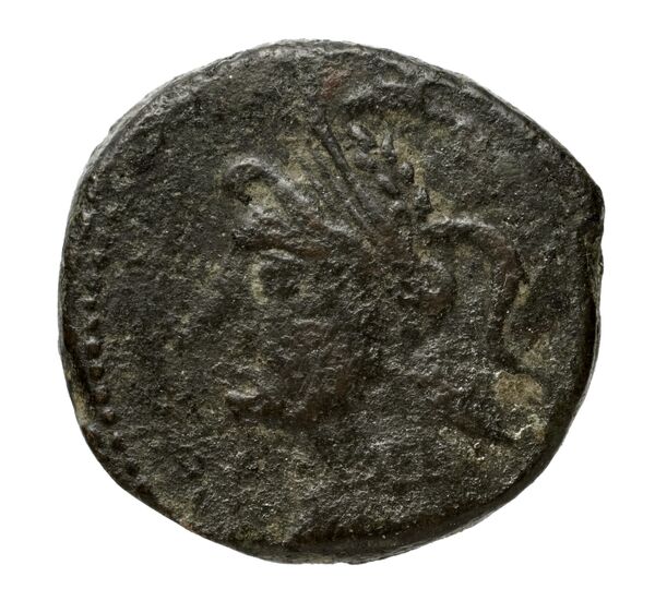 аверс (H)aluntium Puglisi 2009 59