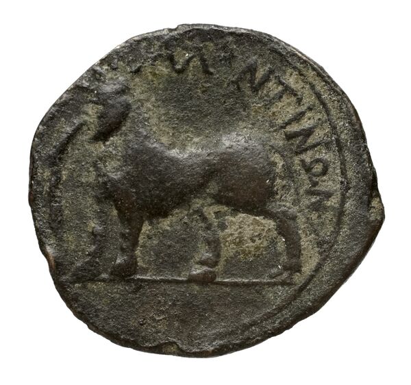 реверс (H)aluntium Puglisi 2009 59
